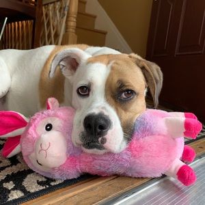 Meet your Posher, Michelle